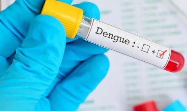 Secretaria Estadual de Saúde confirma que Goiás já tem mais de 15 mil casos de Dengue