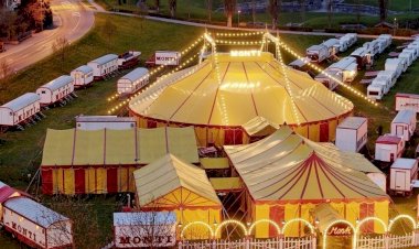 Dia do Circo: conheça a história da arte circense no Brasil e no mundo