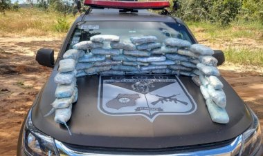 Goiás: PM apreende cargas de ''super maconha'' avaliadas em quase R$ 1 milhão