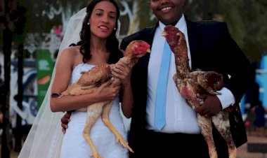 Casal em Goiás faz ensaio de casamento com galo gigante que mede mais de 1 metro