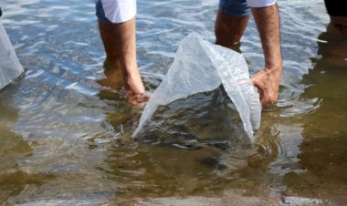 Entenda por que é proibido introduzir peixes nos rios de Goiás sem licença ambiental