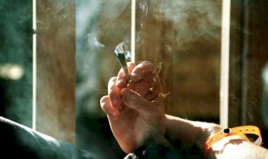 Mais de 2 mil não estariam presos em Goiás se porte de maconha e cocaína para uso pessoal não fosse criminalizado, aponta pesquisa