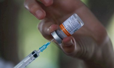 Goiás recebe novas doses de vacina contra a dengue; veja quem pode se imunizar