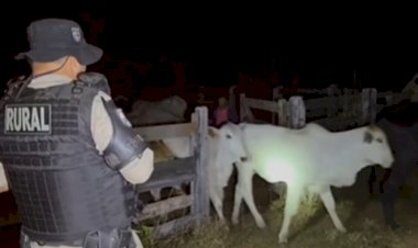 Em Goiás: Suspeito de furtar R$ 175 mil em gado é morto pela PM e comparsa é preso