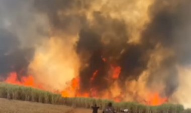 Incêndio em Itapaci assusta moradores e mata mulher carbonizada