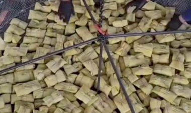 Evento promete distribuir 15 mil pamonhas de graça na Praça do Violeiro , em Goiânia