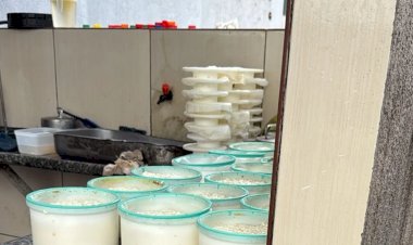 Polícia apreende 100 kg de queijo produzido por laticínio clandestino em Goiânia