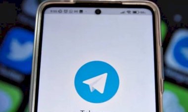 Telegram registra aumento de 78% em denúncias de abuso infantil em 2024