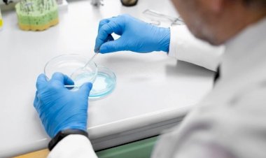 Biólogo do IF Goiano é suspeito de falsificar revisões científicas em periódico internacional