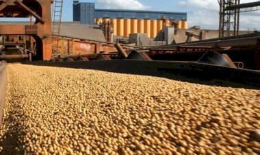 Brasil pode ocupar espaço dos EUA no comércio com a China