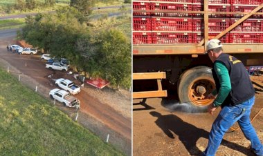 Fazenda com mais de 100 aves mortas por gripe aviária é embargada no interior de Goiás