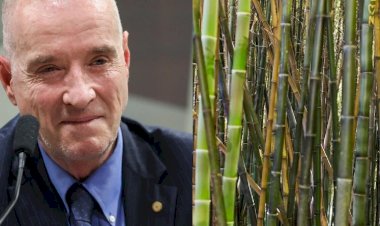 Eike Batista apresenta ‘supercana’ em evento agro, em Goiânia