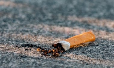 Brasil é um dos 4 países do mundo que mais avançaram no controle do tabaco, diz OMS