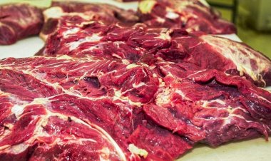 Tarifaço deve causar prejuízo de US$ 162 milhões a exportadores de carne bovina de GO