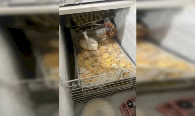 ‘Sujo e sem alvará’: polícia interdita buffet em Goiânia por funcionar irregularmente