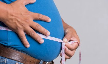 Gordura na barriga provoca danos cardíacos mais graves do que o peso total, aponta estudo