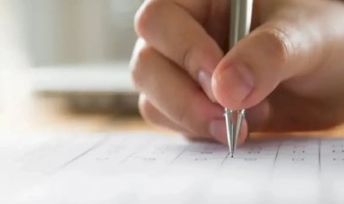 Em 2026, concursos oferecem oportunidades na área ambiental com salários de até R$ 27,7 mil