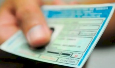 Golpistas criam sites falsos para simular renovação da CNH e cobrar boletos em Goiás