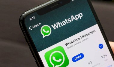 WhatsApp libera nome de usuário; confira o passo a passo para criar e reservar o seu