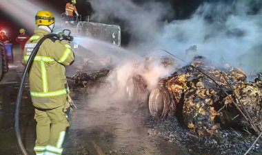 Em Goiás: Caminhão boiadeiro pega fogo na GO-112 e 53 bezerros morrem carbonizados