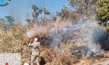 Rompimento de fio de energia causa incêndio e quase atinge condomínio em Goianésia