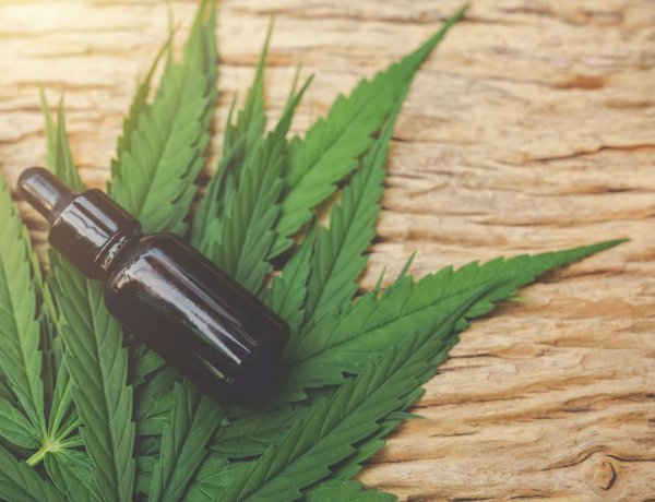 Cannabis medicinal: entenda os benefícios e para quem é indicada