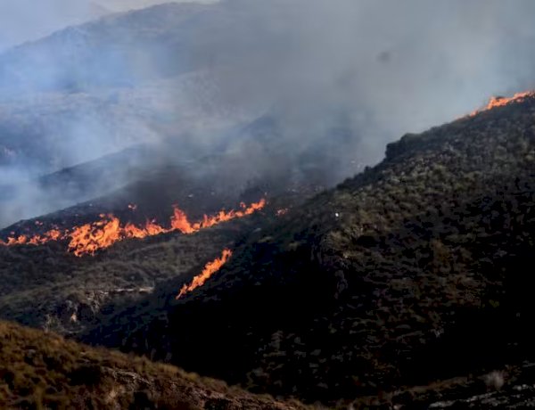 Incêndios florestais atingem Espanha e França enquanto Europa enfrenta terceira onda de calor