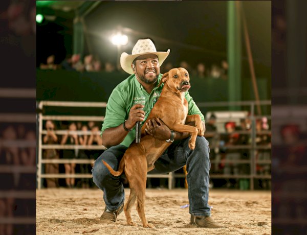 Cachorro caramelo vira herói em rodeio e é adotado por locutor em Rialma