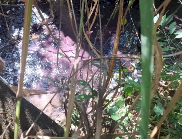Mancha rosa avança em córrego um dia após carreta com produtos químicos pegar fogo na BR-153