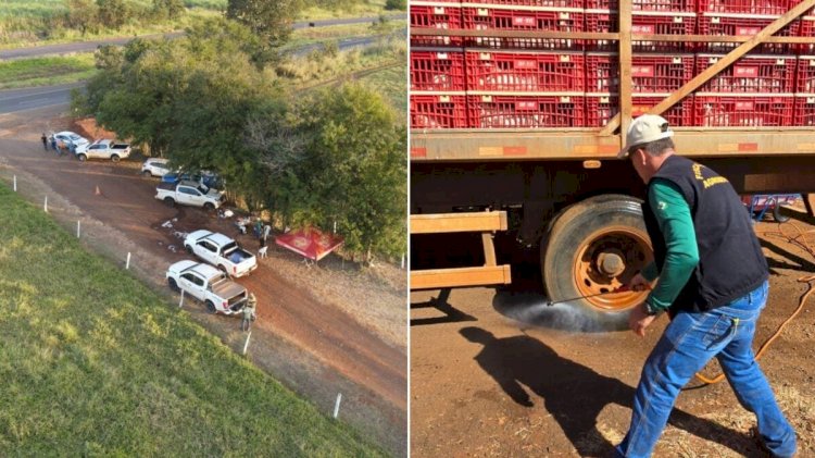 Fazenda com mais de 100 aves mortas por gripe aviária é embargada no interior de Goiás