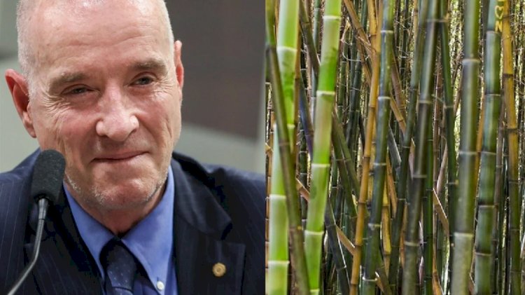 Eike Batista apresenta ‘supercana’ em evento agro, em Goiânia