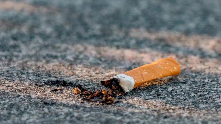 Brasil é um dos 4 países do mundo que mais avançaram no controle do tabaco, diz OMS