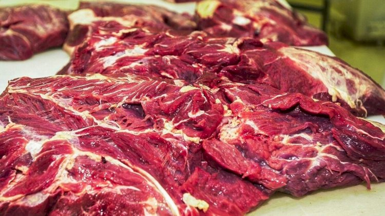 Tarifaço deve causar prejuízo de US$ 162 milhões a exportadores de carne bovina de GO