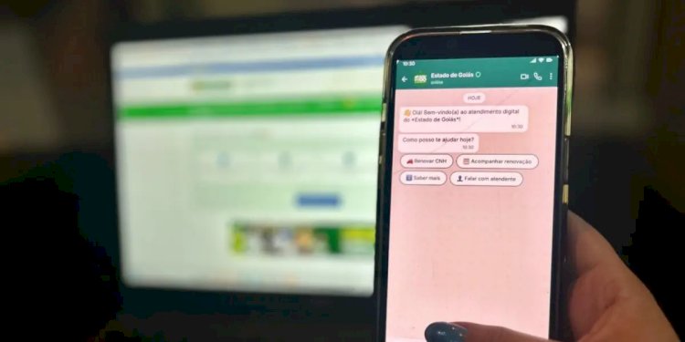 Goiás libera renovação da CNH e solicitação de identidade pelo WhatsApp ainda em junho
