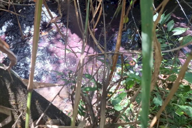 Mancha rosa avança em córrego um dia após carreta com produtos químicos pegar fogo na BR-153